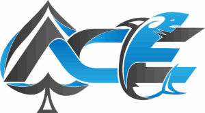 Ace Karate