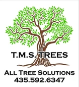 TMS Trees